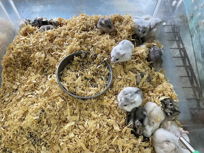 水晶宮水族寵物館