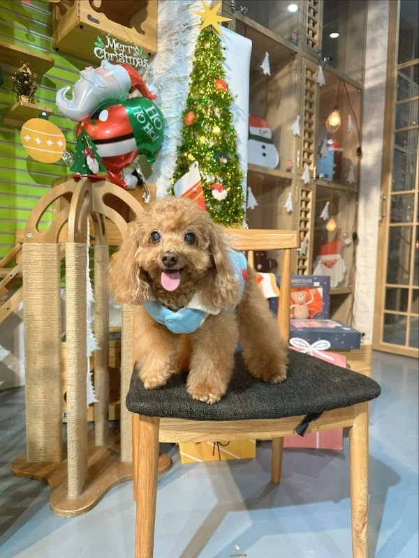 中圓寵物(股)公司林口旗艦分公司