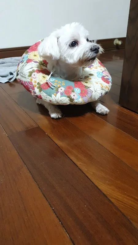 啵好寵物生活館