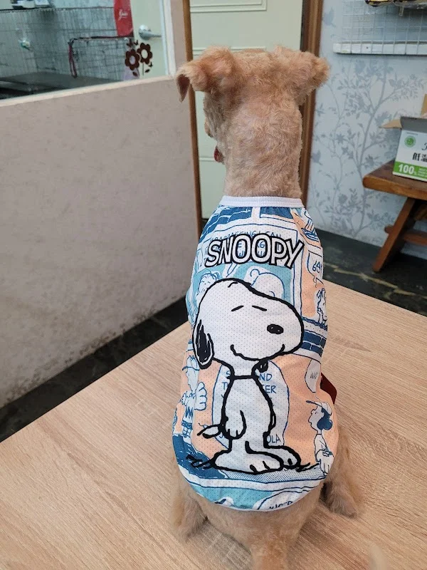 啵好寵物生活館