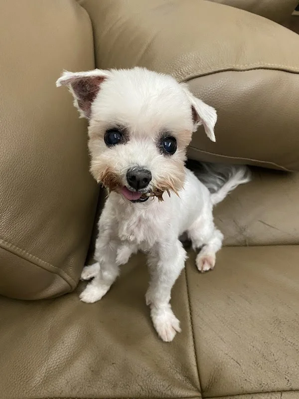 啵好寵物生活館