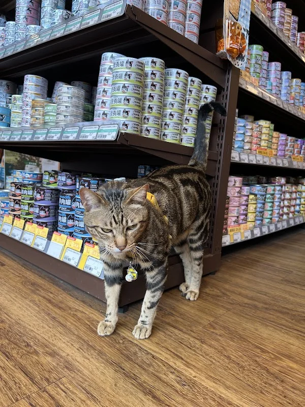 呈珈寵物有限公司