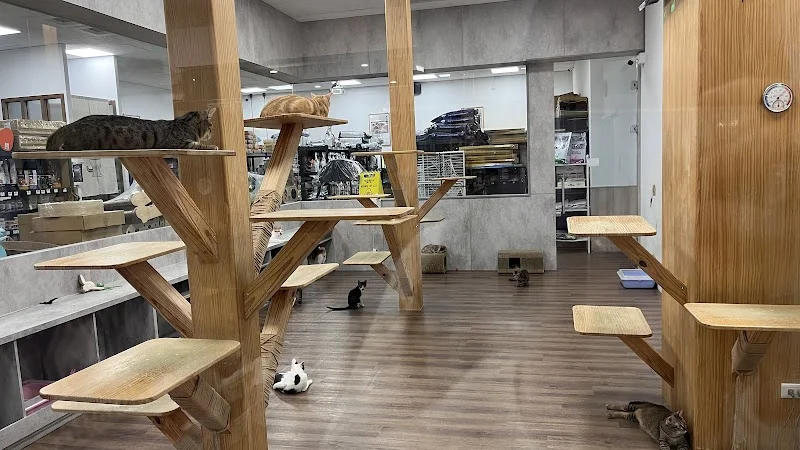 貓奴的夢想世界企業社