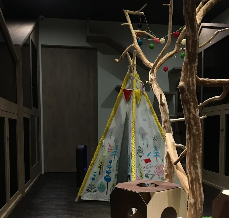 喵仔厝精品貓生活館