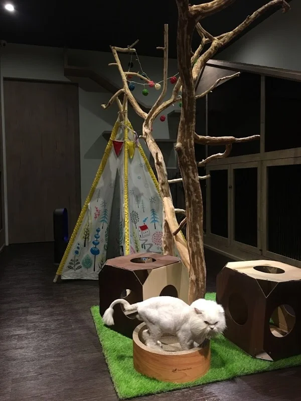 喵仔厝精品貓生活館