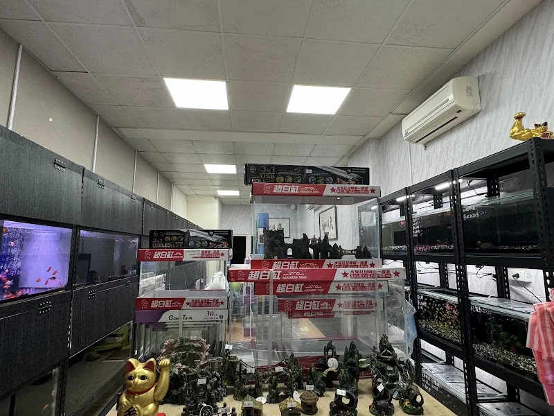 親龍水族企業社