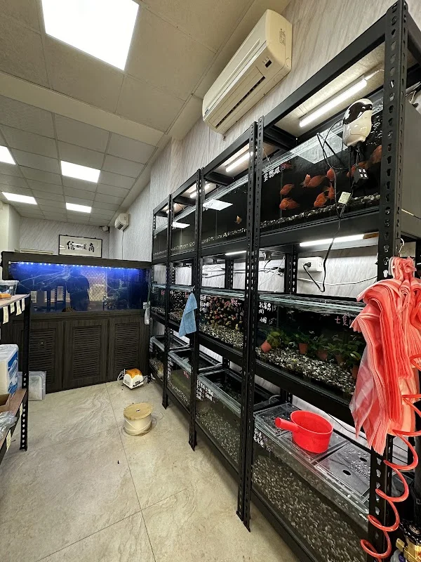 親龍水族企業社