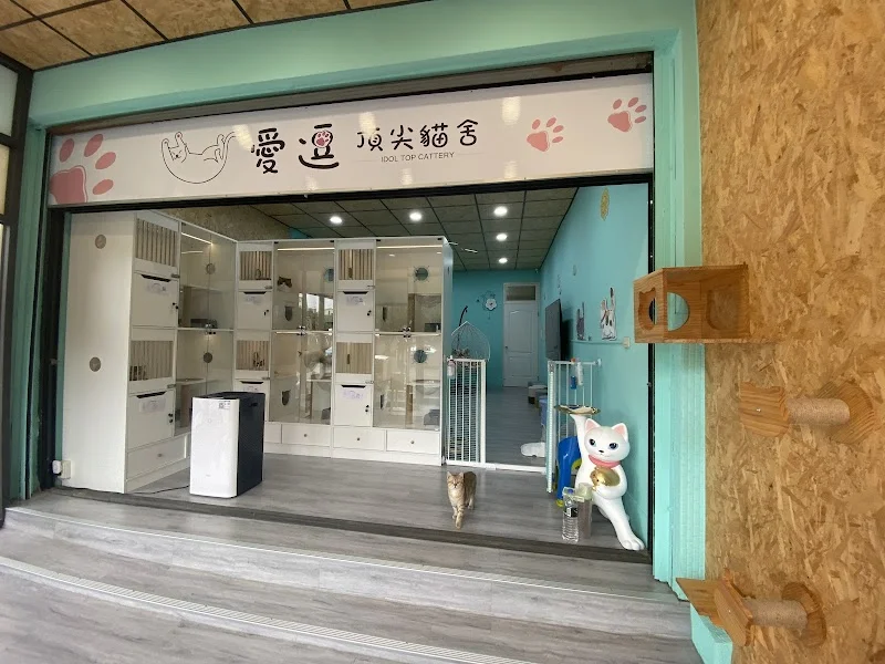 愛逗頂尖貓舍