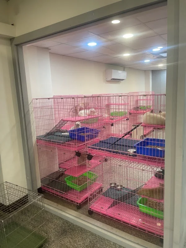 布魯托犬貓旗艦館