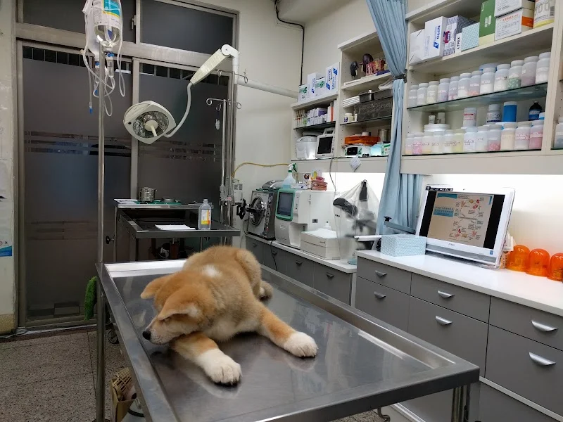 淯生動物醫院