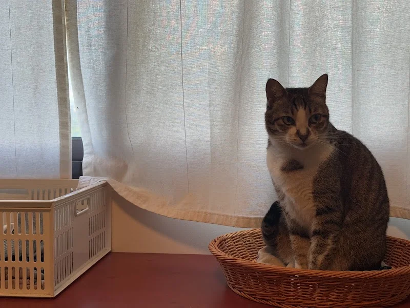 生偉動物醫院